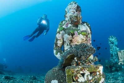 Nature's Hidden Beauty: Where is the Best Scuba Diving in the World?